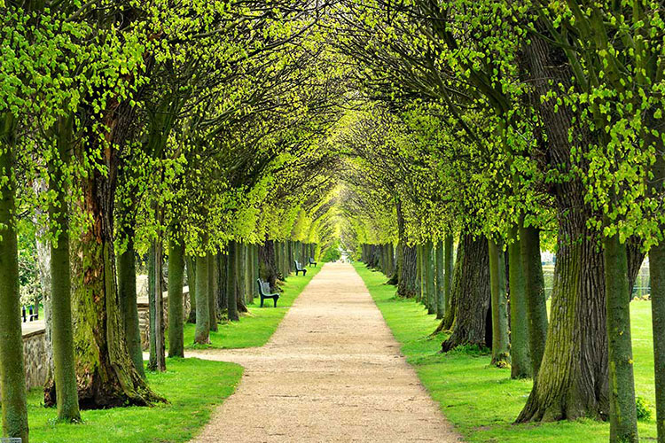 Endless Path-CP103.jpg